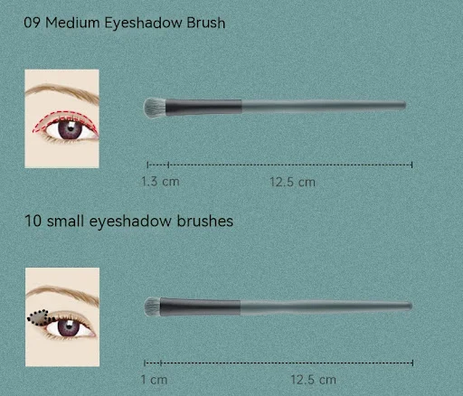 Title 6, New 14 Banana Makeup Brushes Suit for Flawless ...