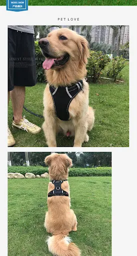 Title 7, Medium and large dog vest type rope, offering c...