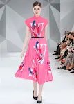 Printing Suit Women's Stand Collar T-length Pleated Skirt Two-piece Set — photo 3