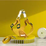 miniatures image - 2