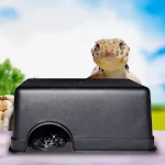 miniatures image - 0