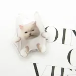 White Cat
