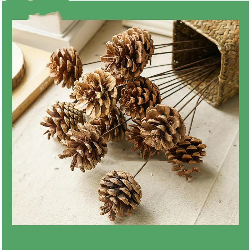 Title 5, Natural Single Pine Fruit Dried Flower for Kind...