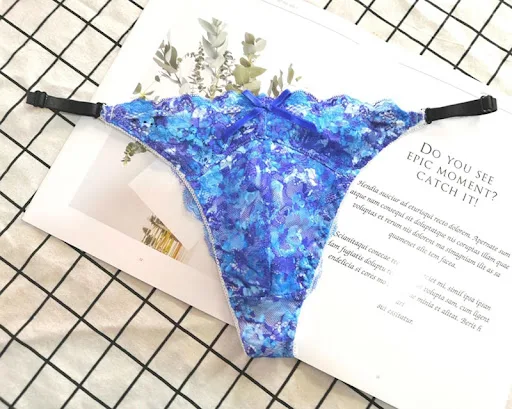 Title 1, Embroidered lace thong on waist, offering a com...