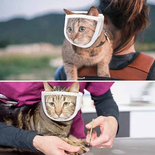 Cat Anti Bite Muzzles Breathable Cat Travel Tools Bath Beauty Grooming Supplies Cat Kitten Muzzles Mask Pet Supplies — photo 1