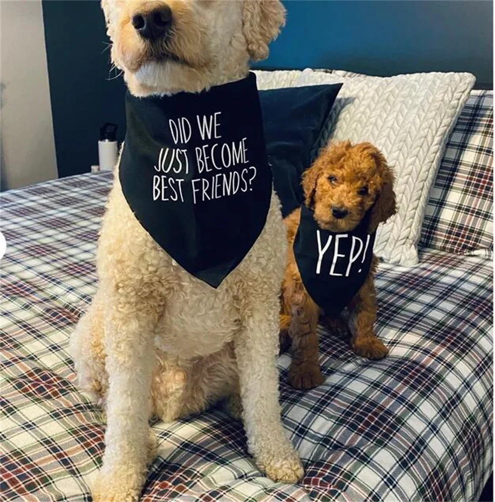 Title 1, Matching Dog Bandana Set Did We Just Become Bes...