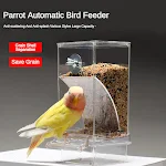 Automatic Parrot Feeder Anti-splash Anti-splash Neat Bird Feeder Seed Food Container Feeder Bird Cage Accessories for Pa — photo 3