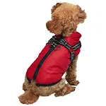 Red n chest strap