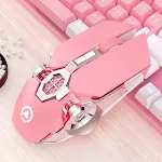 Mute version plus KT cat mouse