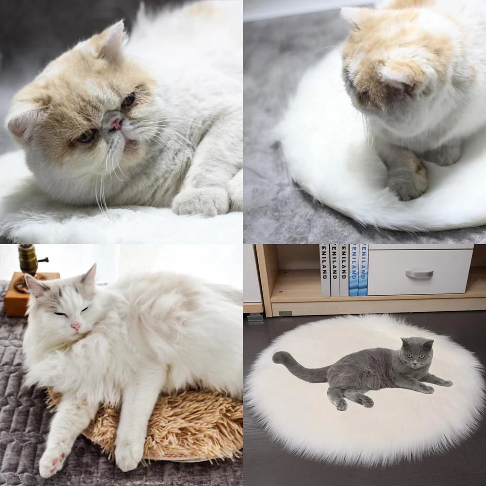 Title 10, Waterproof Heated Electric Pet Blanket. Provide...