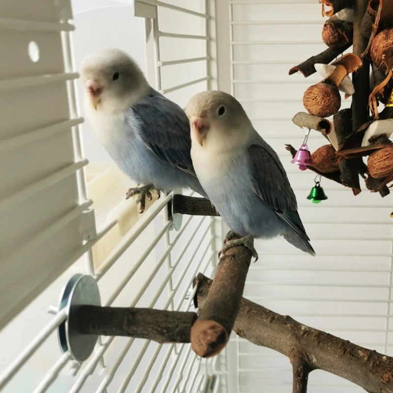 Title 2, Bird Stand Perch Natural Wood Standing Bar Tree...