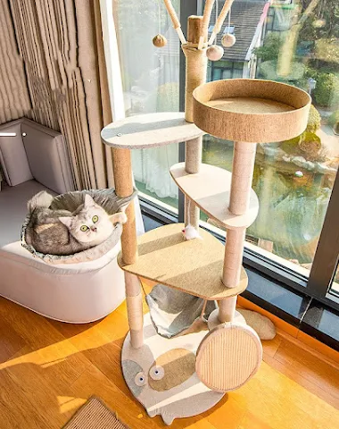 Image product - 1