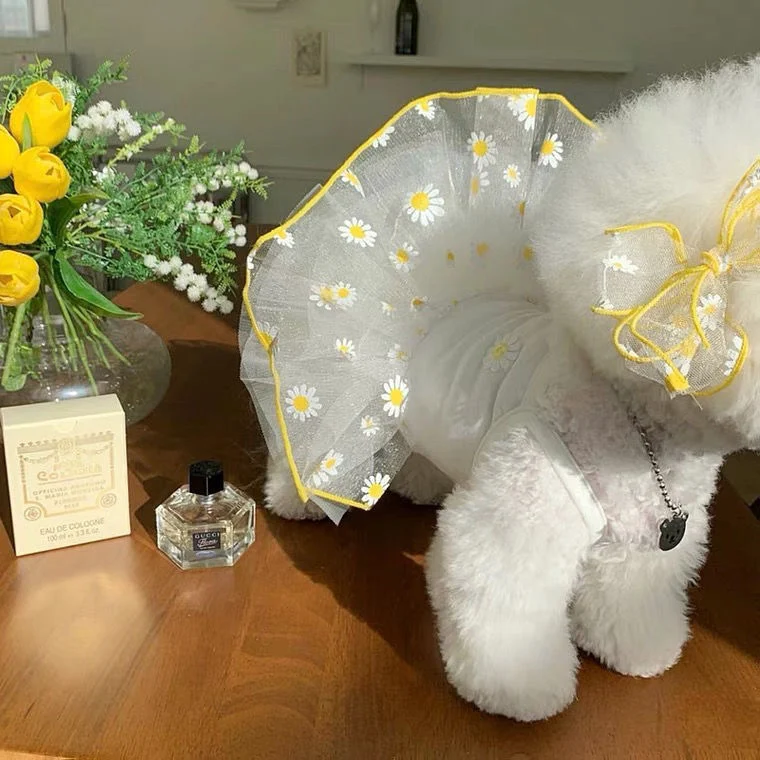 product image - 21