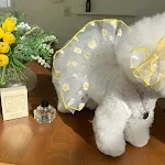 miniatures image - 21