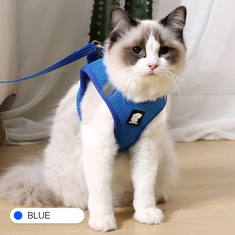 Title 4, Anti-strike cat harness
