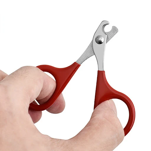 Professional Cat Nail Scissors Pet Dog Nail Clippers Toe Claw Trimmer Pet Grooming Supplies Products for Small Dogs Dog — photo 5