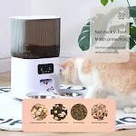 miniatures image - 0