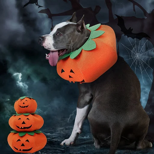 Title 7, Pet Halloween Pumpkin Collars Cute Cosplay Acce...