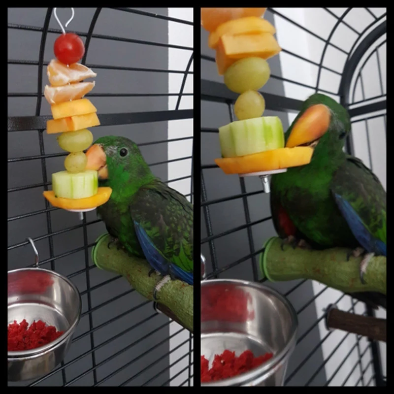 Title 1, Pet Parrots Birds Food Holder Support Stainless...