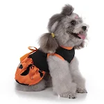 Hunde Halloween Kleidung Zauberer Kleid Verwandle deinen Hund in einen kleinen Zauberer mit diesem bezaubernden Halloween Kleidungsstück für Haustiere — foto 3