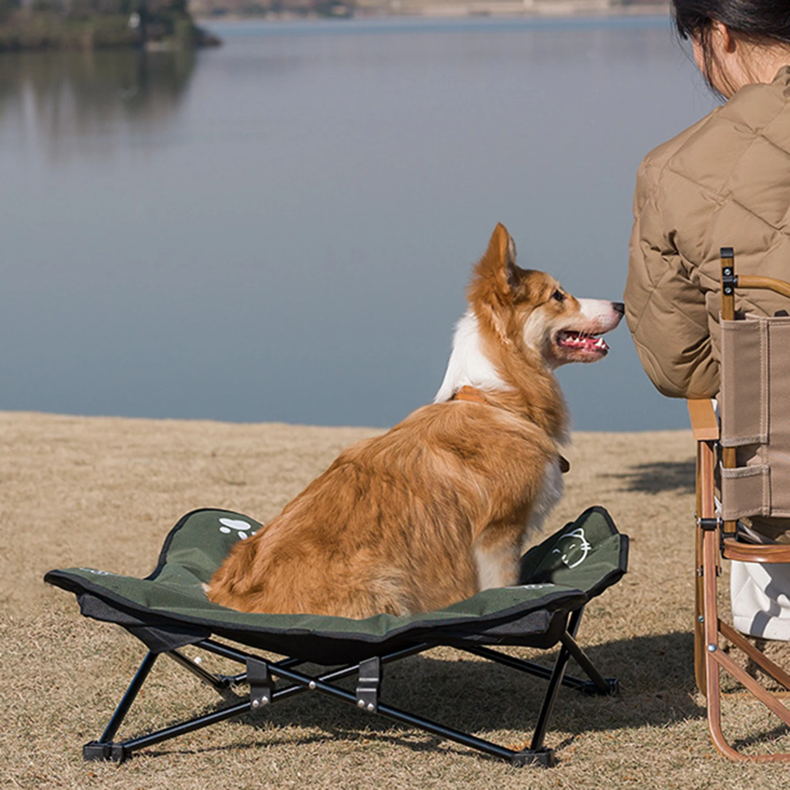 Outdoor detachable and washable pet folding bed. Provides comfort and convenience, easy to clean and great for travel an — photo 1