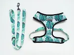 Chest strap suit