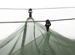 Anti-mosquito hammock for peaceful outdoor relaxation. Enjoy bug-free lounging with an integrated mosquito net. Perfect — photo 6