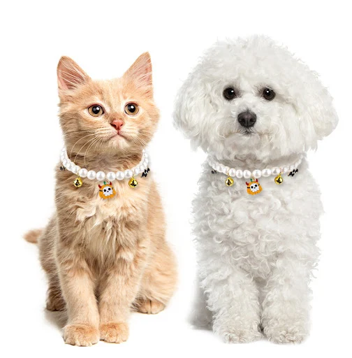 Title 7, Halloween Cat Collar Pet Pearl Necklace Decorat...