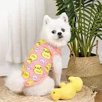 Fashion Personalized Camisole Puppy Clothes Unique Design Comfortable Fit Stylish Look Small and Medium Dogs Perfect Gif — photo 7