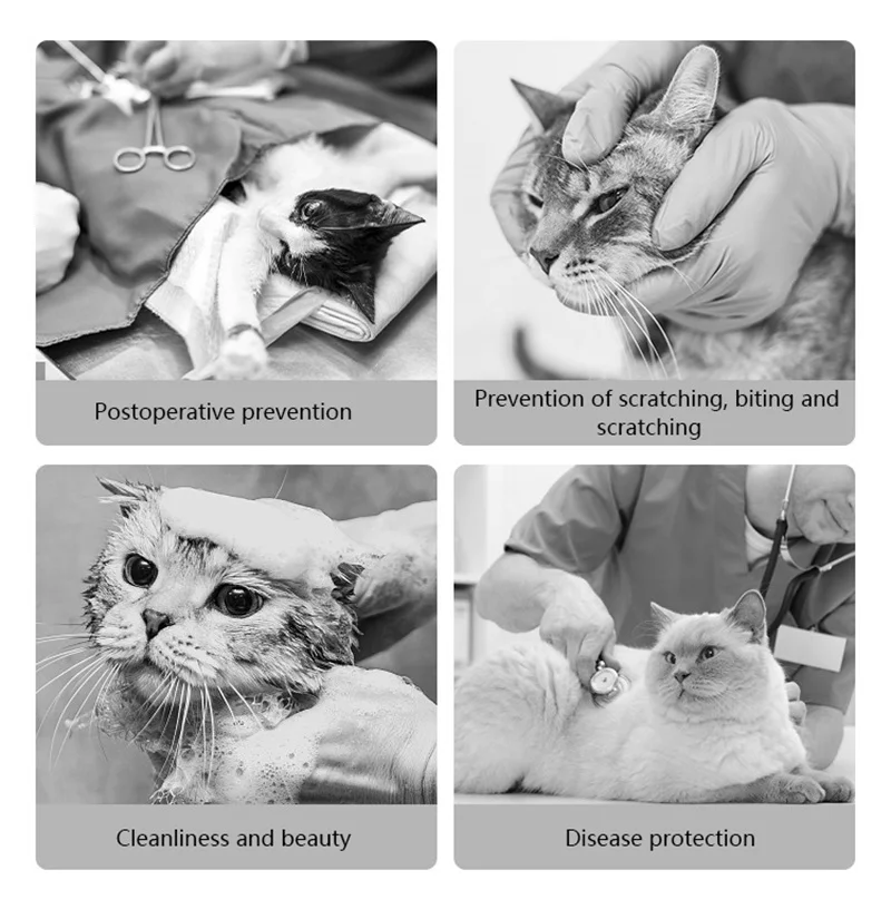 Title 4, Soft Cat Cone Elizabethan Recovery Collar For D...
