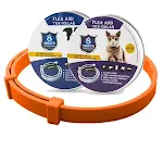 orange box 1pc