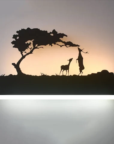 Image product - 2