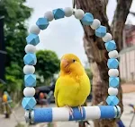 swing