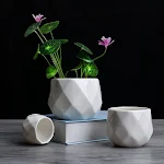 miniatures image - 0