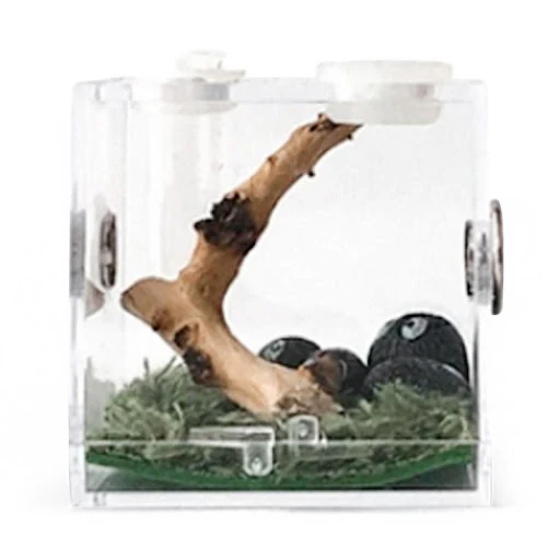 Spider Reptile Insect Feeding Box Reptile Breeding Box Terrarium Accessories Insect Box For Spider Cricket Snail Tarantu — photo 4