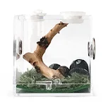 Spider Reptile Insect Feeding Box Reptile Breeding Box Terrarium Accessories Insect Box For Spider Cricket Snail Tarantu — photo 4