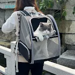 Ventilation Large Capacity Cat Carrier Bag Adjustable Strap Pet Carrying Backpack Pet Carriers Handbag for Cats and Dogs — photo 4