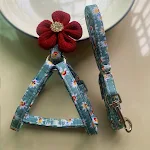 miniatures image - 2