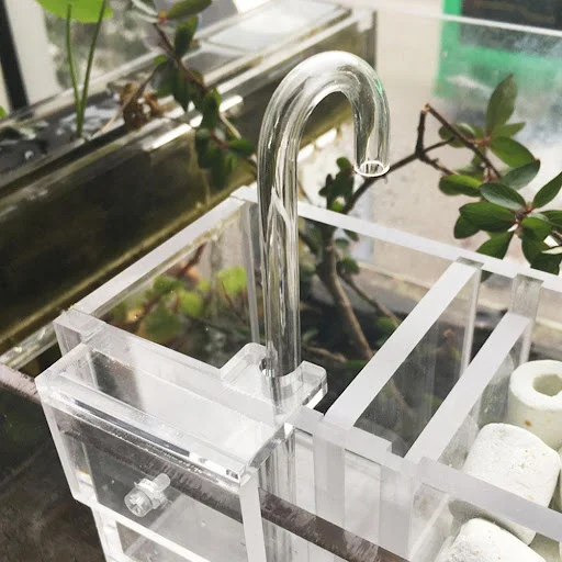 Title 10, Maintain a pristine fish tank with our wet filt...