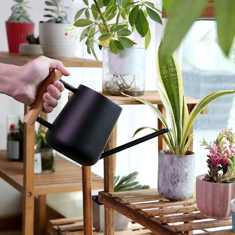 Title 1, Stainless Steel Long Spout Watering Kettle. Pre...