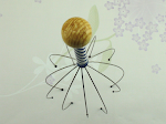 Massageador de Couro Cabeludo Polvo Hair Raising Alívio Manual da Tensão e Relaxamento Massageador de Cabeça e Agarrador para Massagem — foto 4
