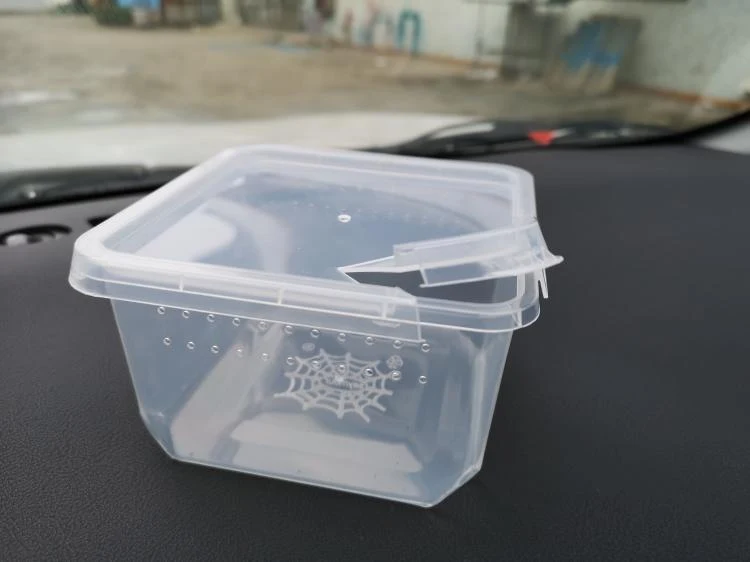 Title 6, Insect feeding box provides safe and efficient ...
