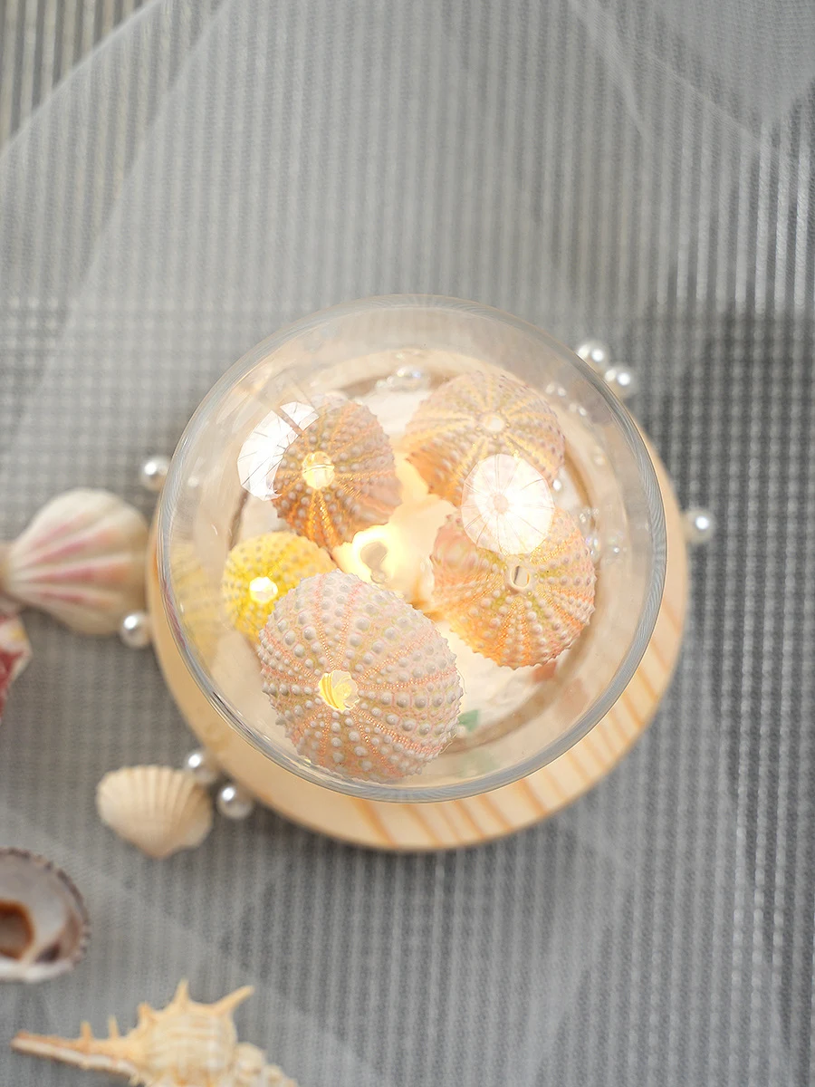 Title 5, Creative Sea Urchin Shell Jellyfish Lamp Handma...
