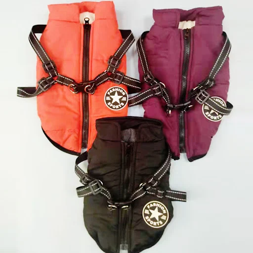 Title 6, Simple and creative autumn and winter clothes f...