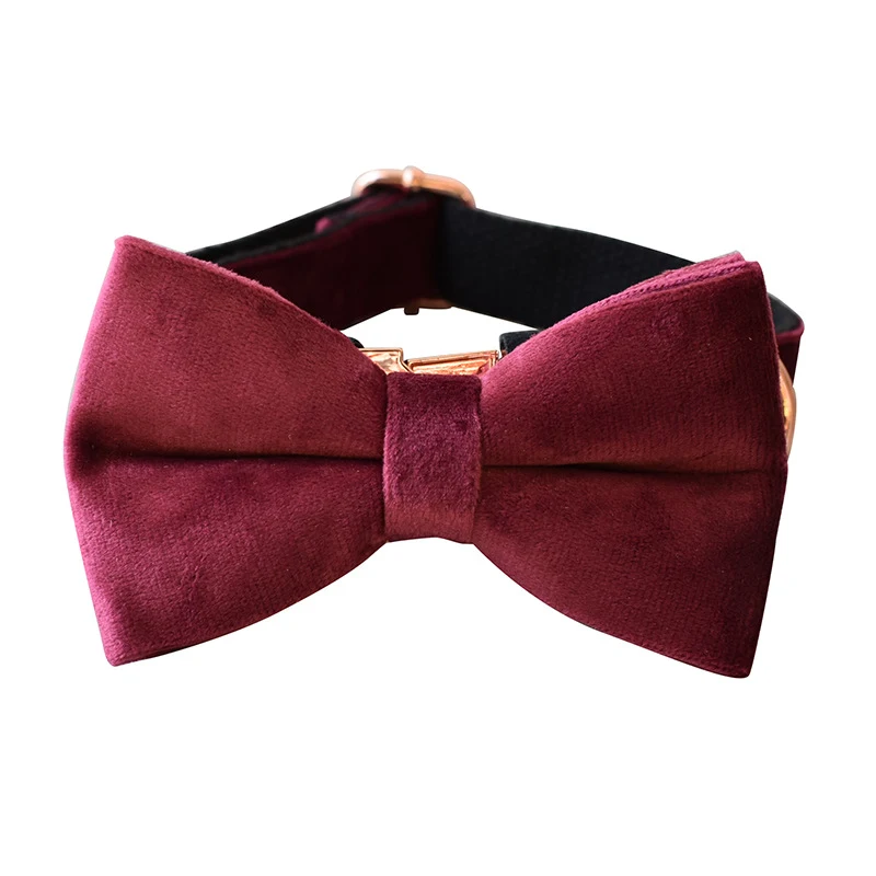 Title 1, Bowknot Foreign Trade Pet Supplies