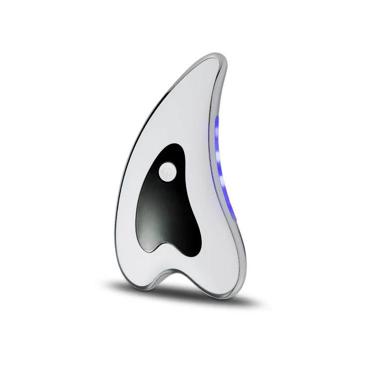 Title 1, Electric Facial Massager Scraper Micro Current....