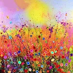 50x50cm