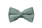 Bow tie