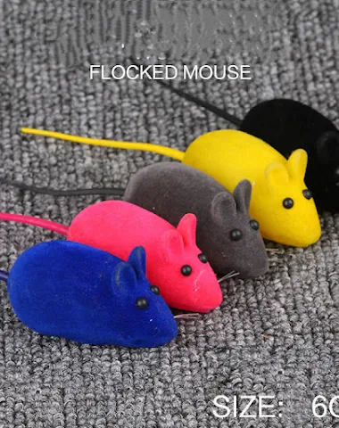Image product - 2