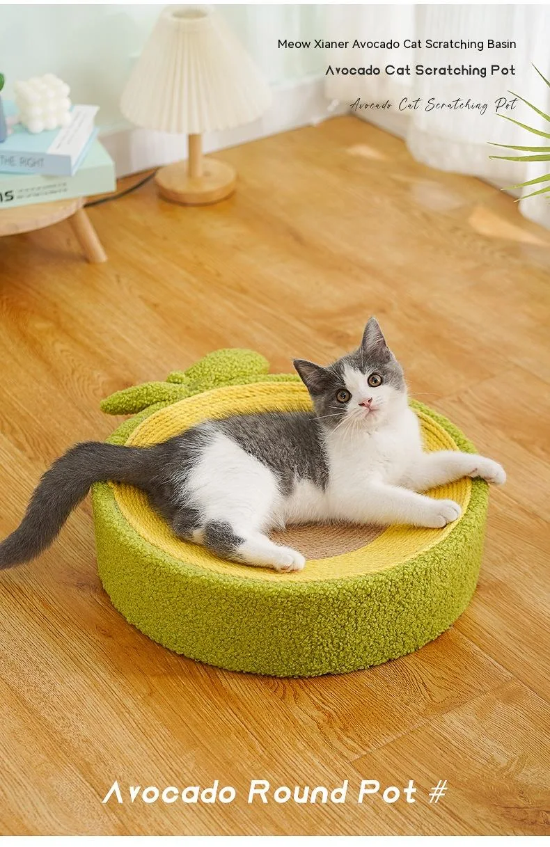 Title 7, Avocado Cat Scratching Basin
